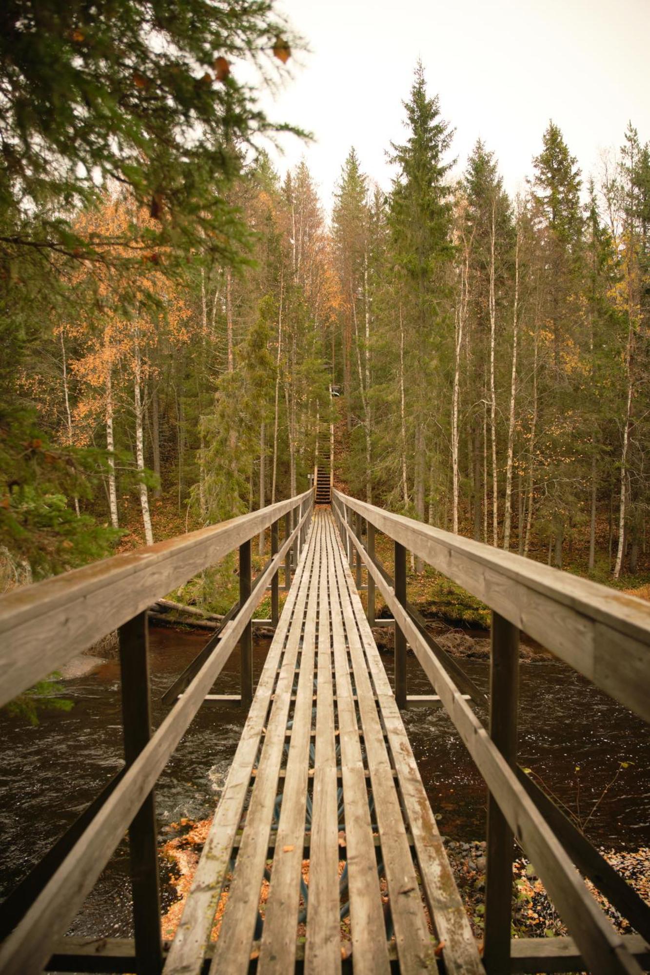 Langforsen Glamping & Lapland Experience Ξενοδοχείο Lapptrask Εξωτερικό φωτογραφία