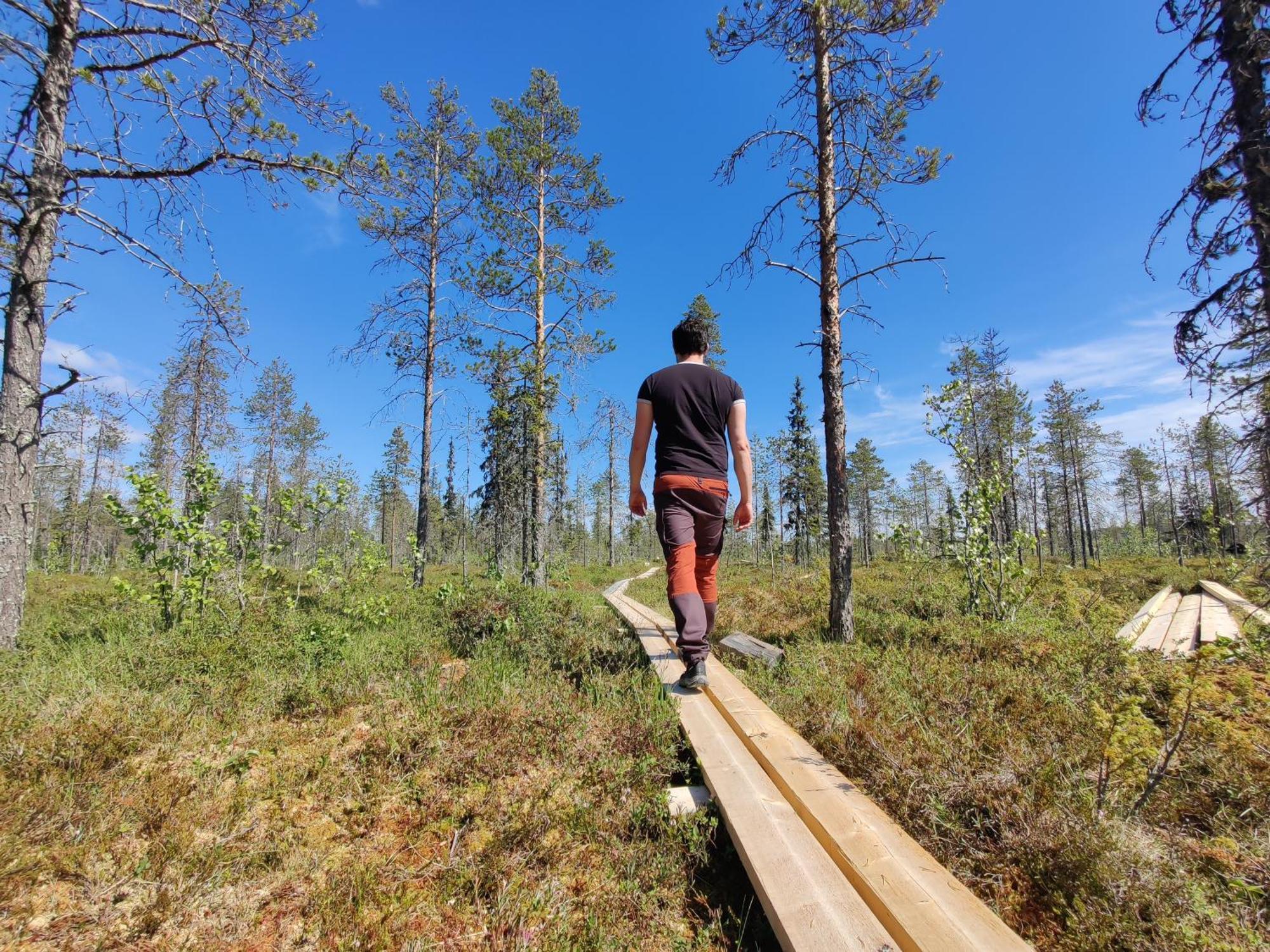 Langforsen Glamping & Lapland Experience Ξενοδοχείο Lapptrask Εξωτερικό φωτογραφία