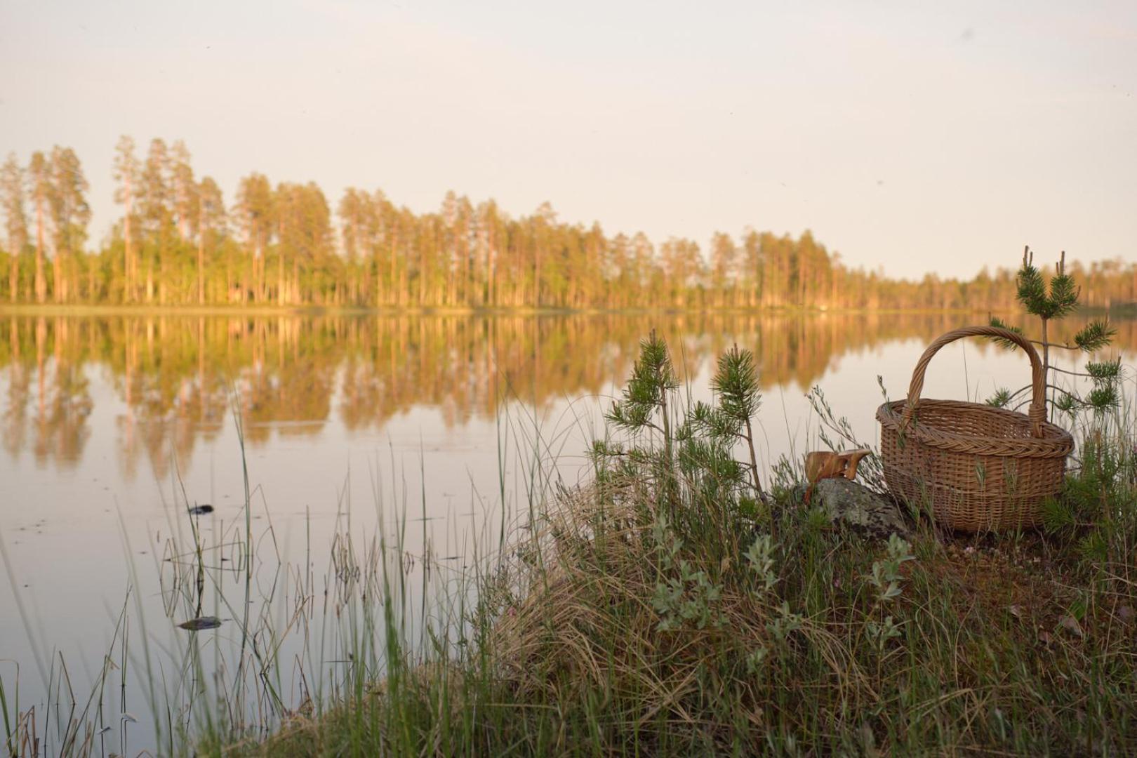 Langforsen Glamping & Lapland Experience Ξενοδοχείο Lapptrask Εξωτερικό φωτογραφία