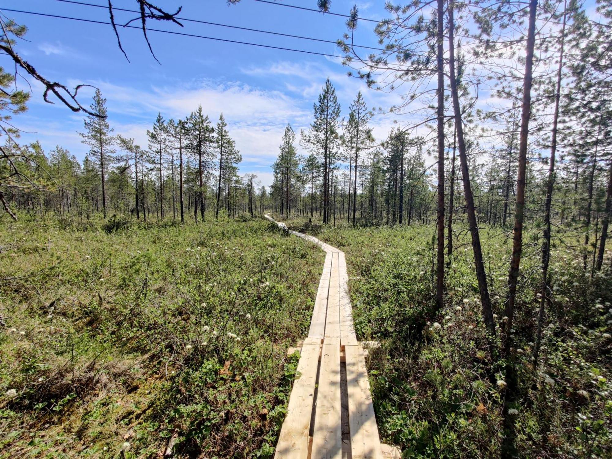 Langforsen Glamping & Lapland Experience Ξενοδοχείο Lapptrask Εξωτερικό φωτογραφία